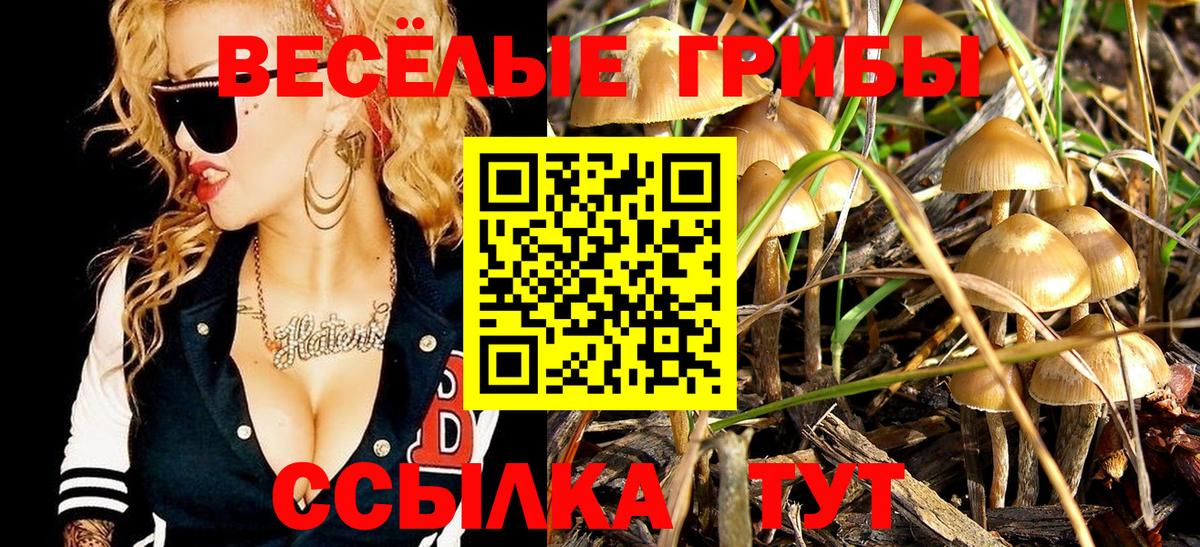 Псилоцибиновые грибы GOLDEN TEACHER Елабуга